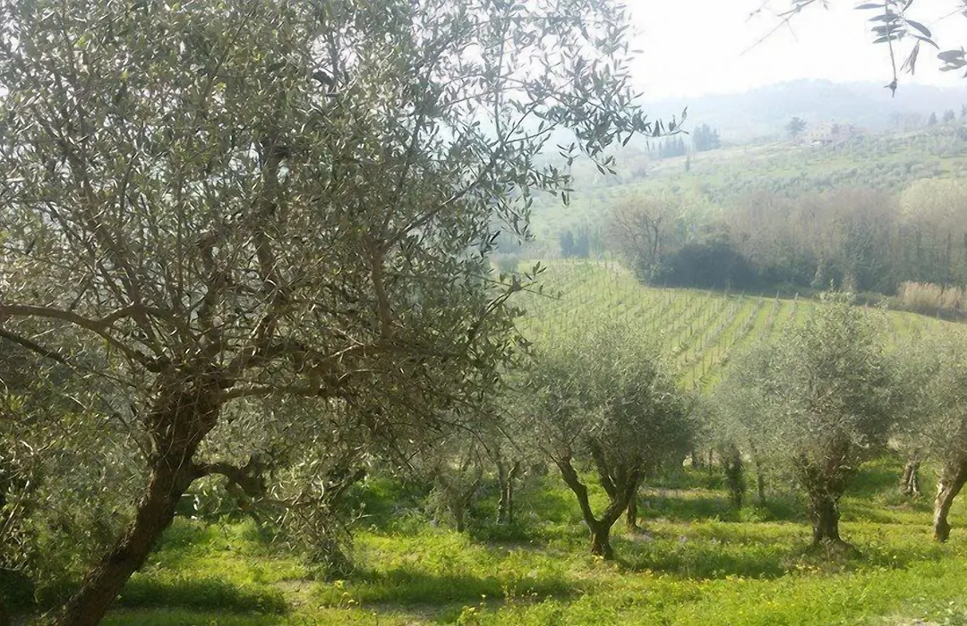 Fattoria Di Fubbiano-1